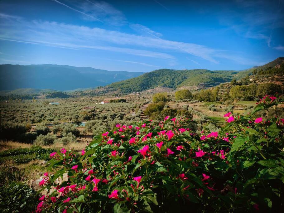 Casa Lourdes Villa Yeste Buitenkant foto