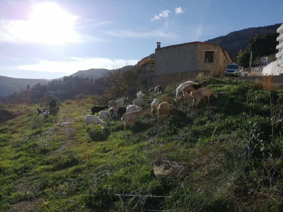 Casa Lourdes Villa Yeste Buitenkant foto